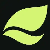 RoamVista logo