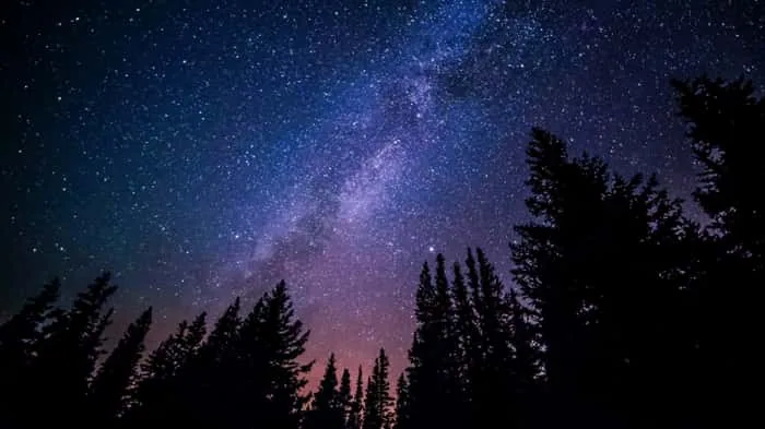 Stars cover