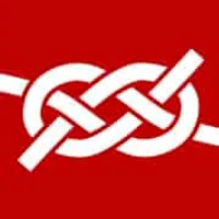 Animated knots logo