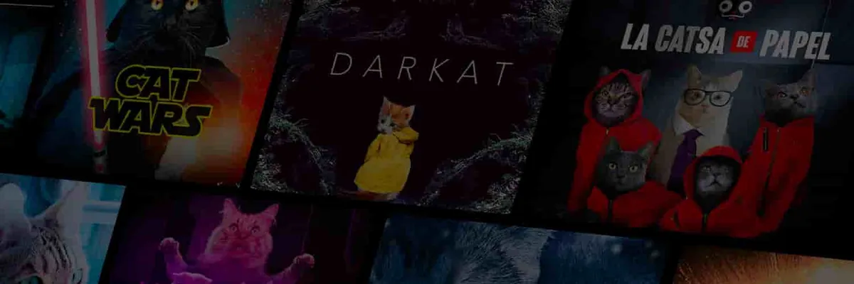 Catflix cover