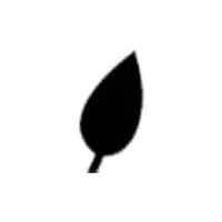 DearDiary logo