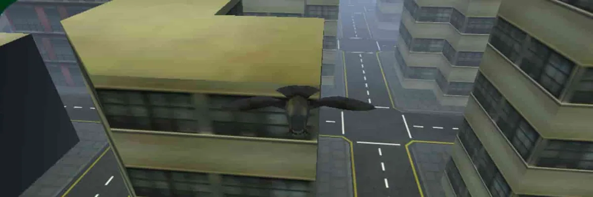 Fly Like a bird 3 cover