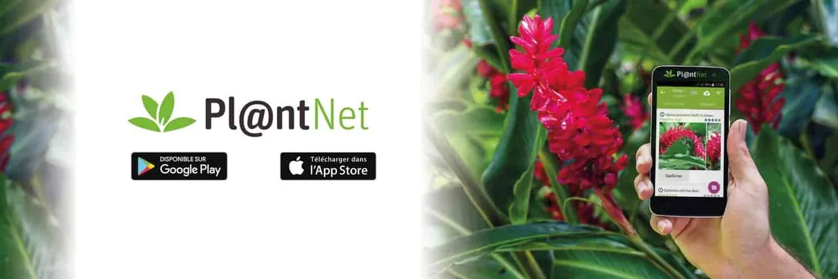 Plantnet cover