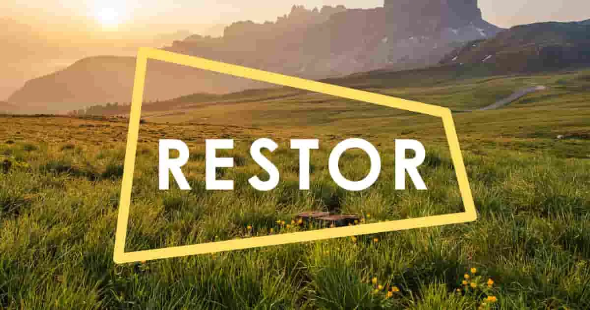 Restor cover