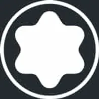 The Race logo